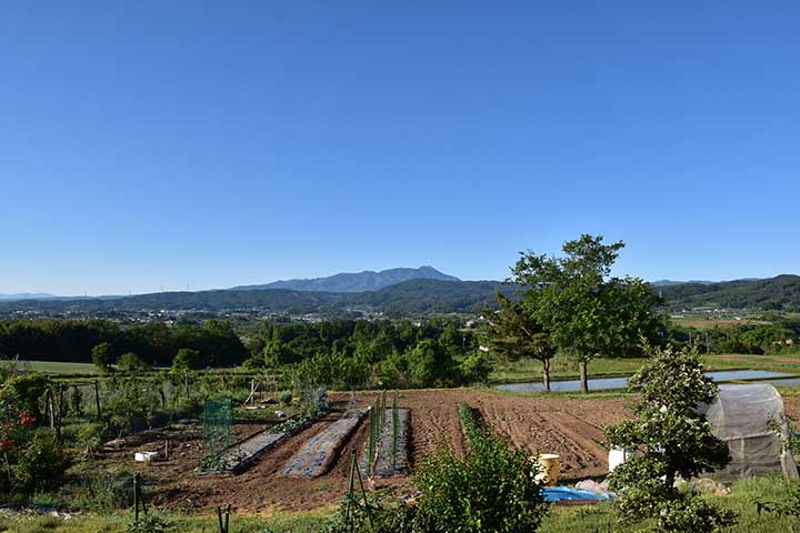 今日も疲れた