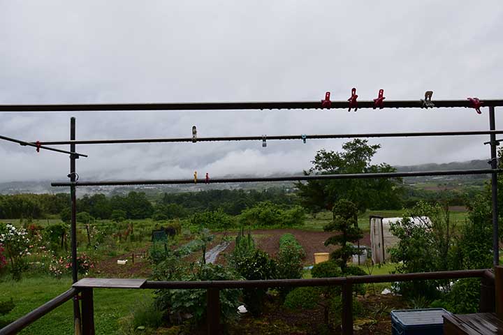 梅雨らしい空模様