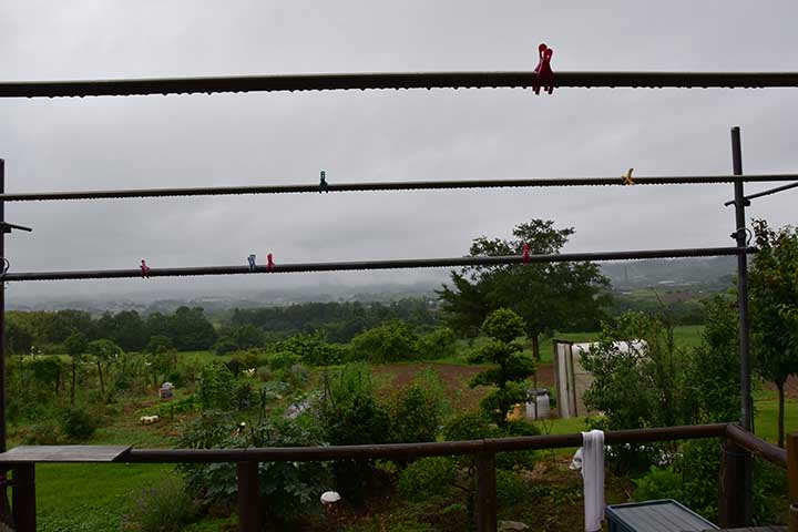 予報に無い雨