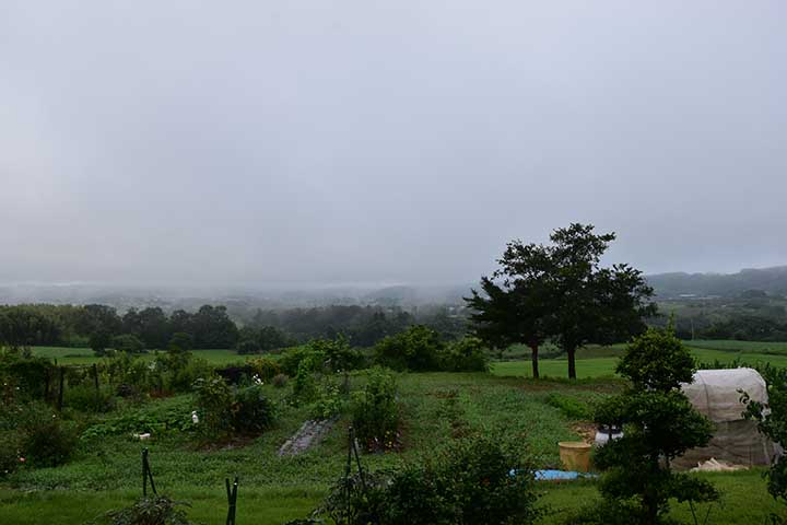 関東甲信梅雨明け