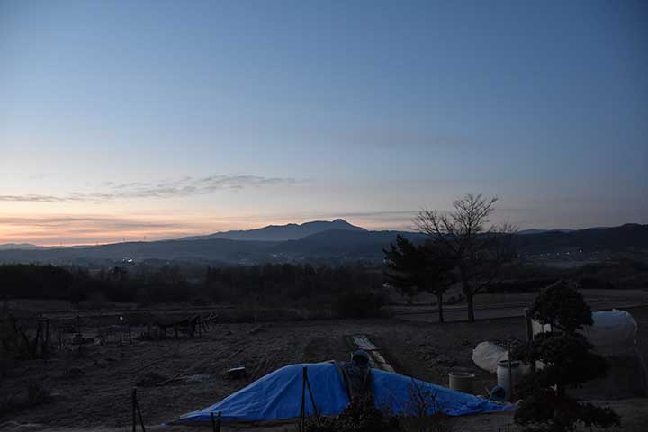 今季最低目視温度(今日現在)