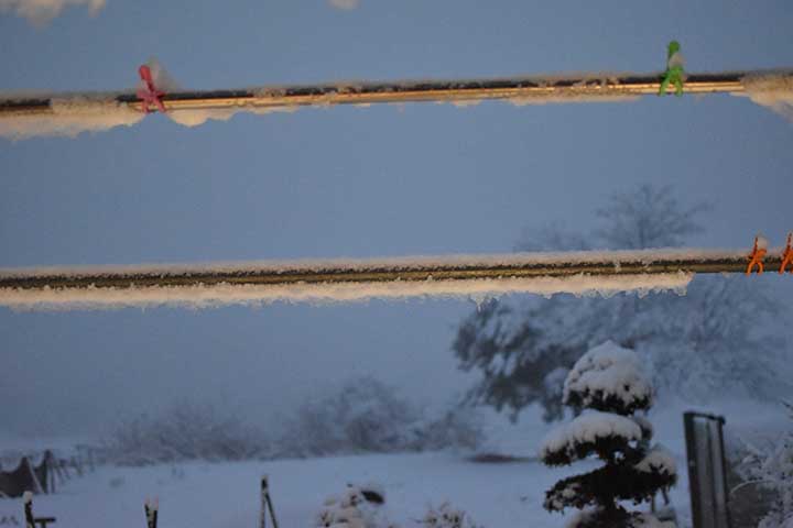 今季2度目の雪