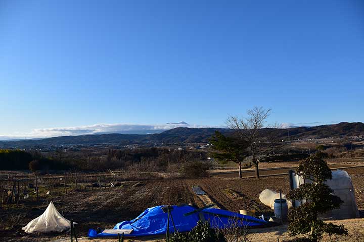 今日の風景