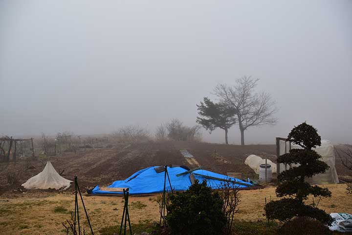 濃霧は雲？