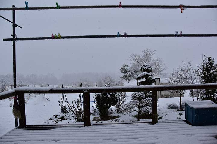 20200314_10.jpg 20200314_10.jpg