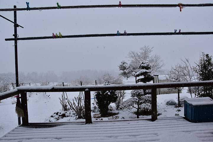 20200314_11.jpg 20200314_11.jpg