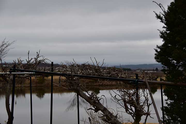 20200314_2.jpg 20200314_2.jpg