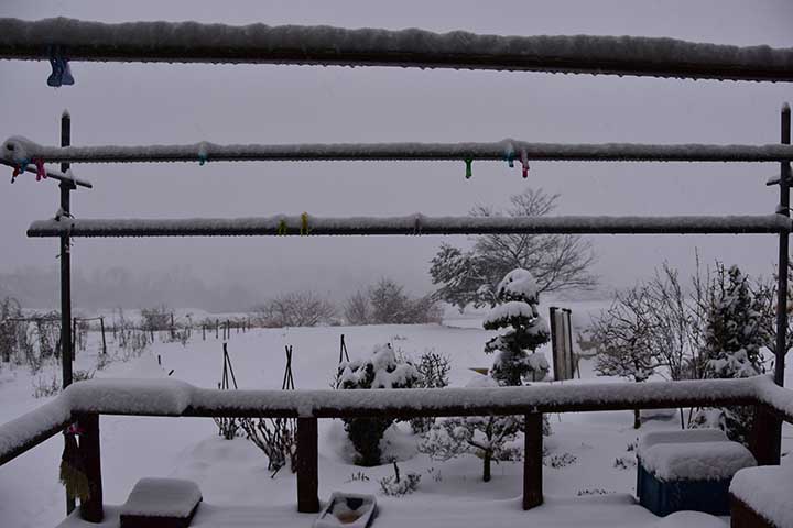 春に大雪