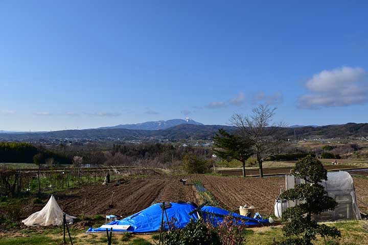 CBR600RRオイル交換＆フィルター緩めレンチ購入