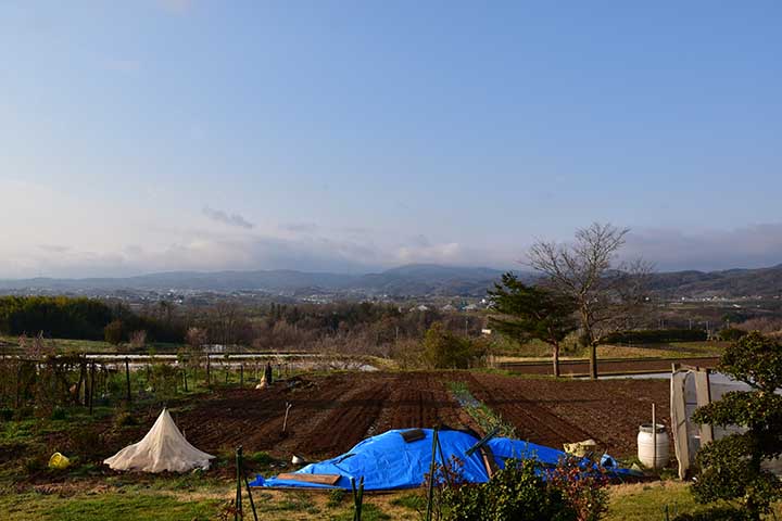 夕焼雲