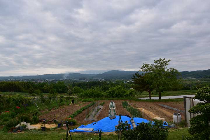 給付金入ったのか