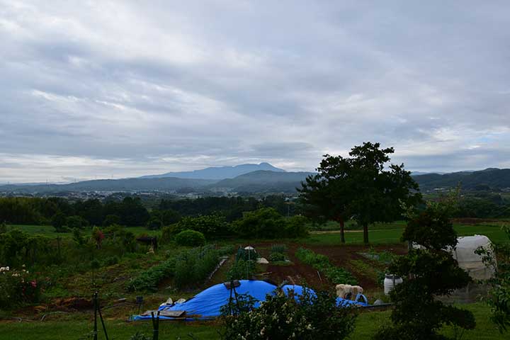 単管組立小屋完成&移し替え開始