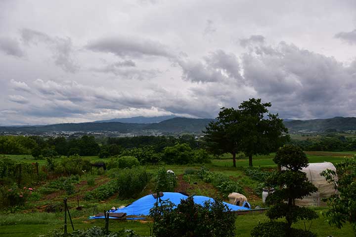 梅雨っぽい空