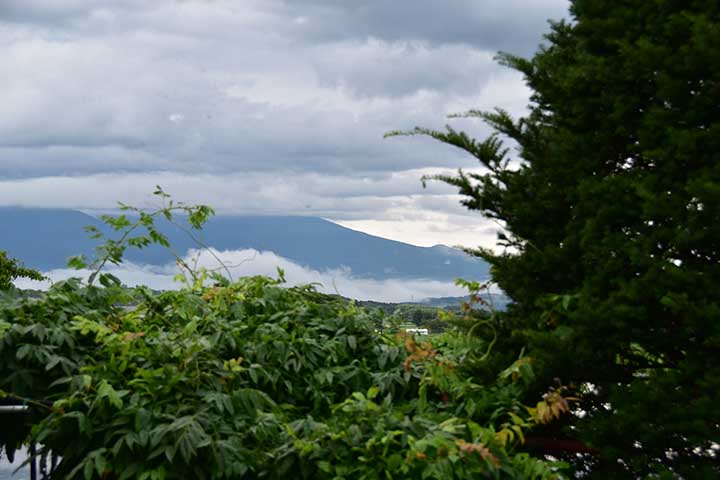 20200709_2.jpg 20200709_2.jpg