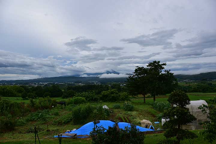 「芽ぐみの雨」到着