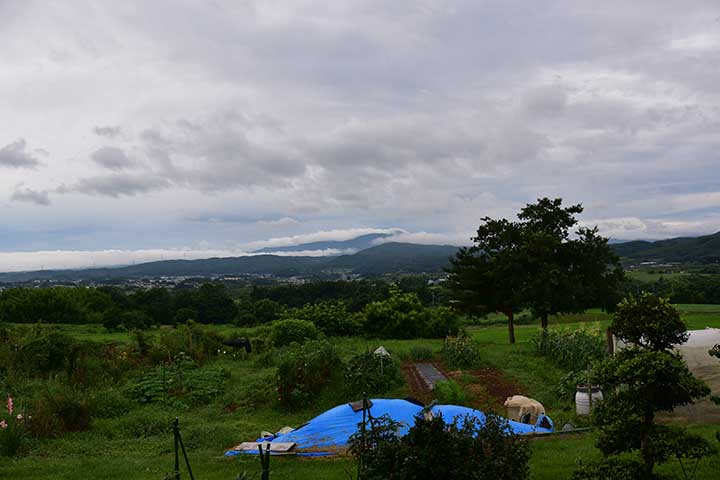 久しぶりの山頂