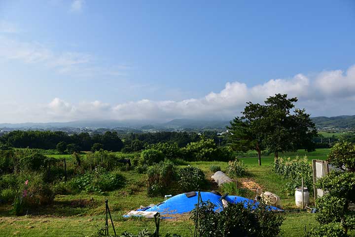 芋ほりと大塚康夫氏画集到着