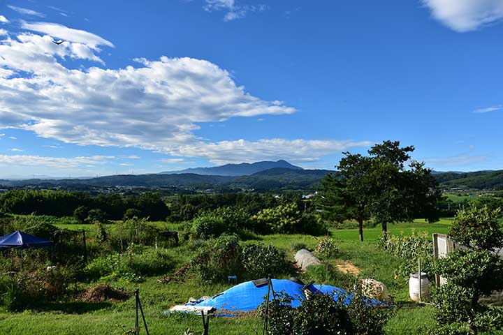 青空がキレイ