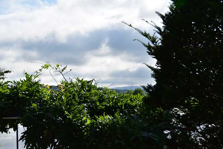 20200812_2.jpg 20200812_2.jpg
