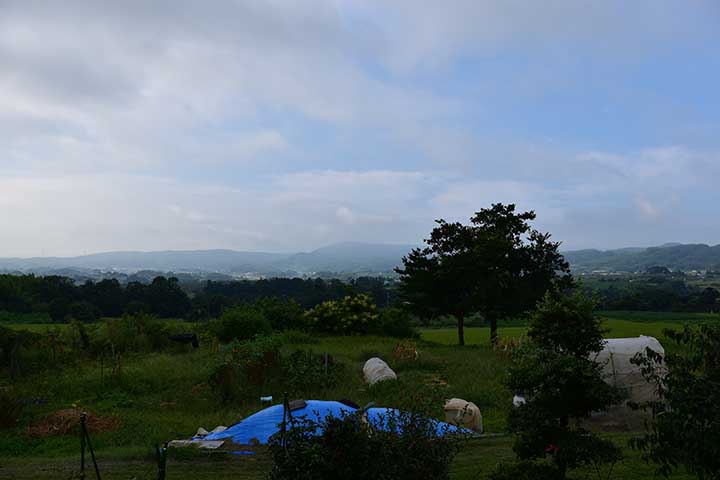 今日の天気