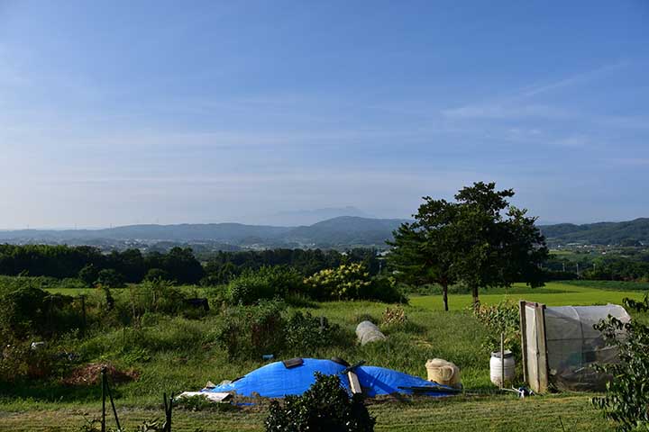 離職票の件＆果樹除去