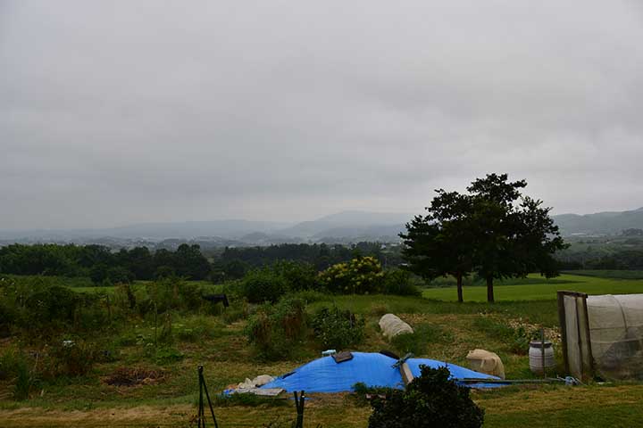 雷雨