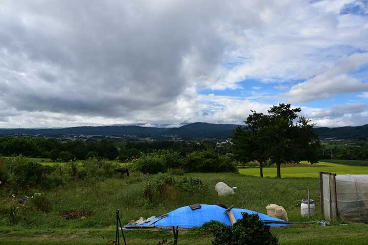 今朝の天気