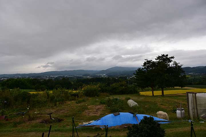 今のところ雨ふりは無し