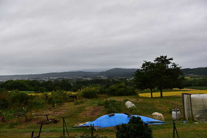 雨降り