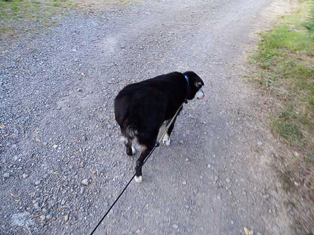 20201001_3.jpg 20201001_3.jpg