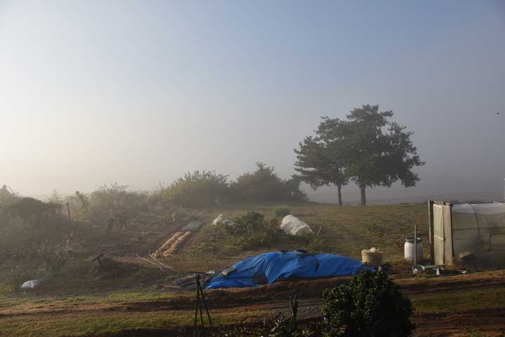 単管組立小屋補強＆印鑑ケース到着