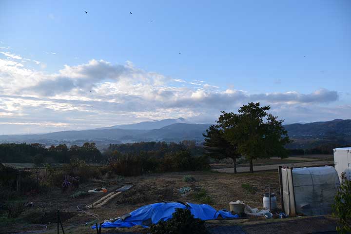 朝の風景