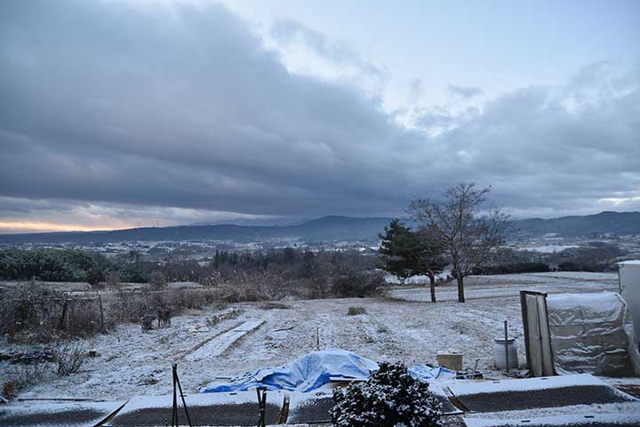 初雪