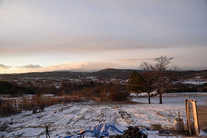 20201216_1.jpg 20201216_1.jpg