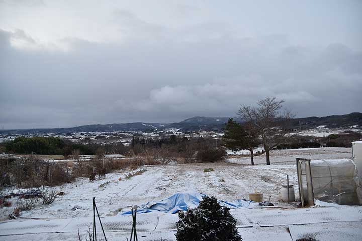 また夜中に雪