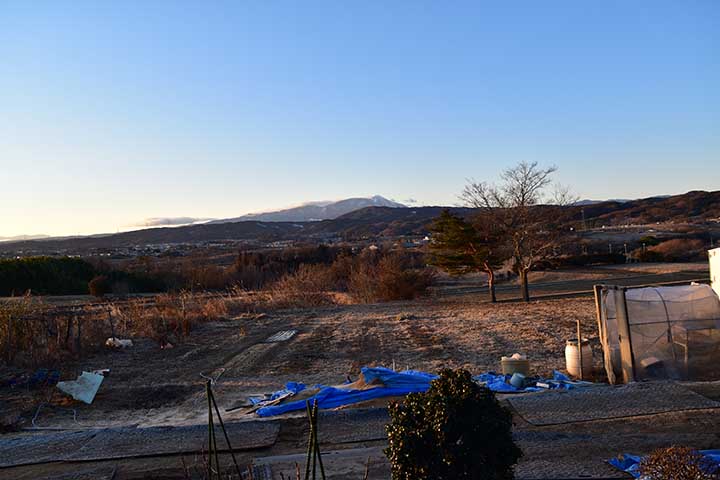 20210205_1.jpg 20210205_1.jpg