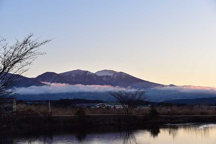 20210205_3.jpg 20210205_3.jpg