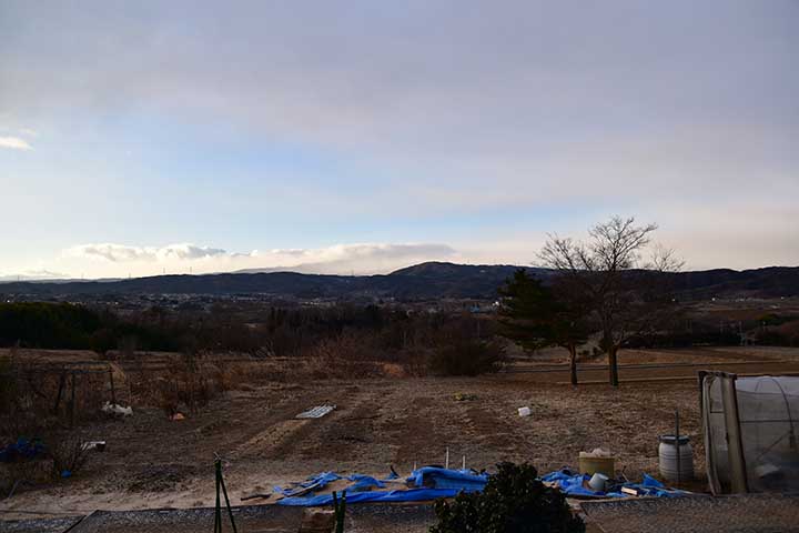 20210218_1.jpg 20210218_1.jpg