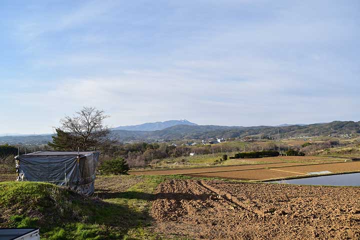 スリッパとヘアブラシ到着