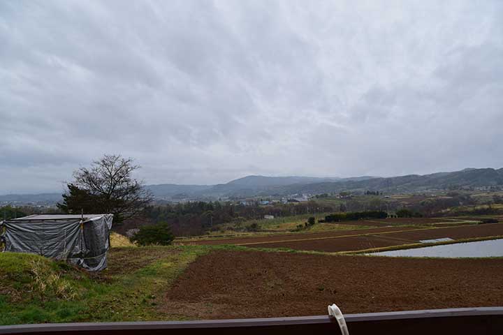 雨