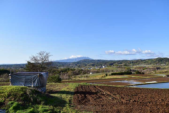 久しぶりの水弾き