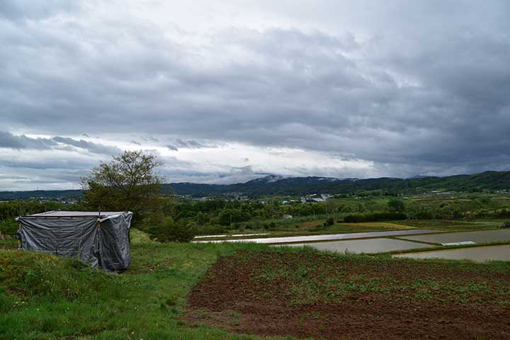 今日も雨