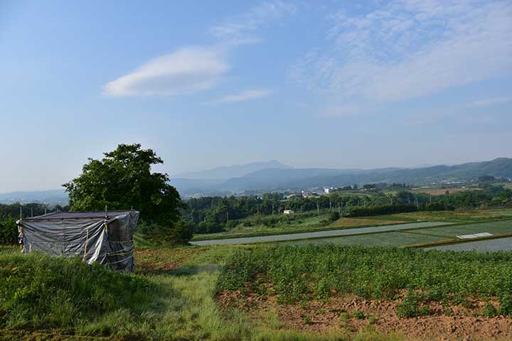 アルト給油