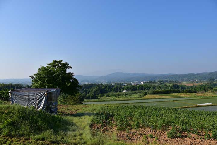 浅間山噴煙