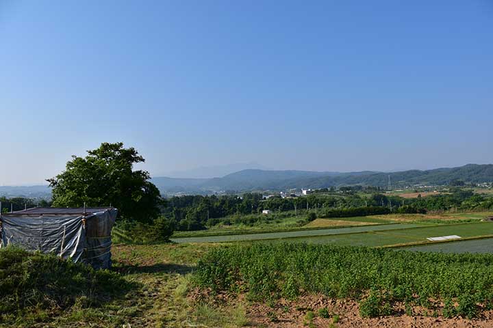 未だ梅雨にも入っていないのに…