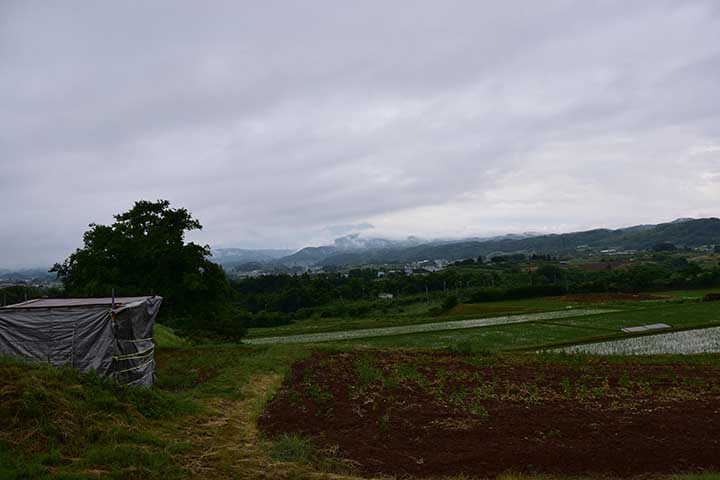 雷雨