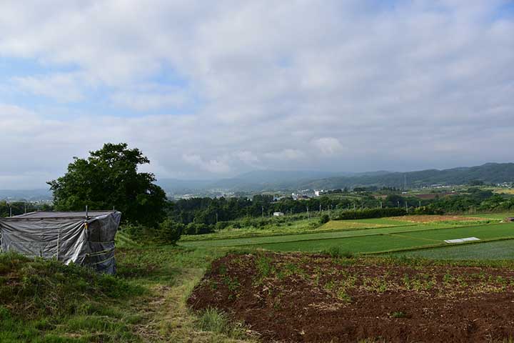 昨日梅雨入り