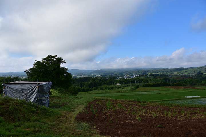 アルト給油