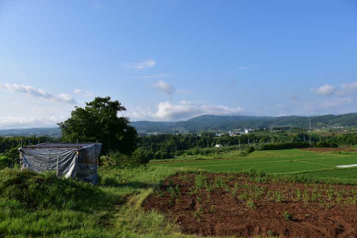 アルト給油