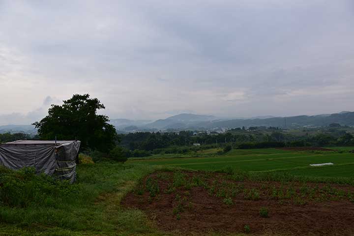 今朝の風景